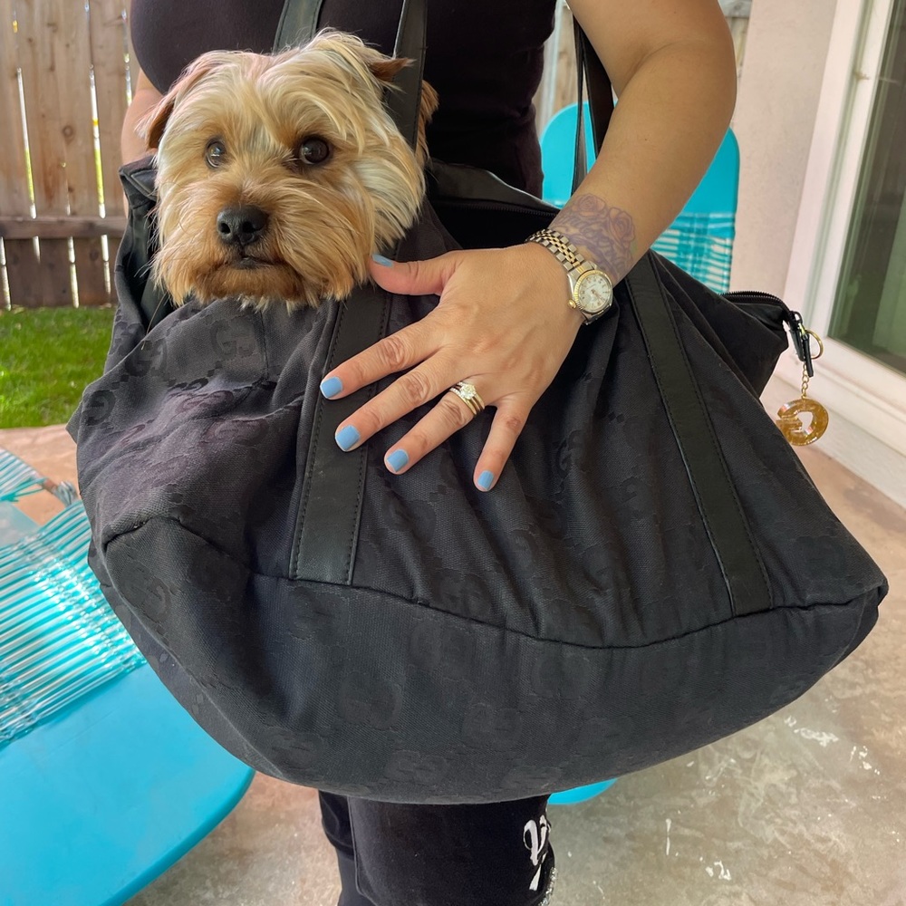 SOLD Gucci Pet Carrier - Picture 10 of 15